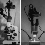 multispectral imaging stereo microscope