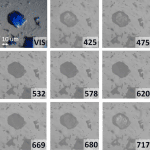 multispectral imaging stereo microscope
