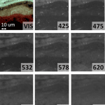 multispectral imaging stereo microscope