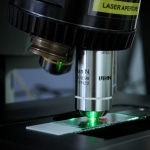 Raman Spectroscopy for Pigments Checker