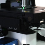 Raman Spectroscopy for Pigments Checker