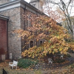 Multispectral Imaging Training. Neighborhood Preservation Center, New York City.