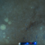 CHSOS Technical Photography marble incisions