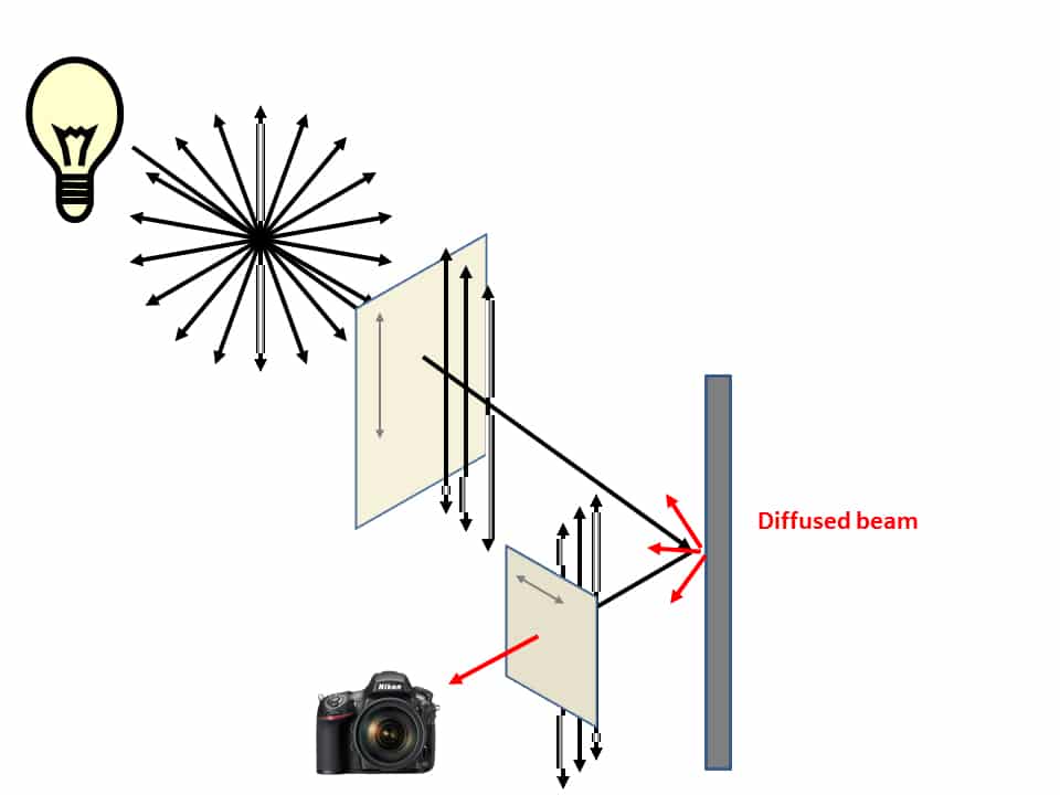 images21