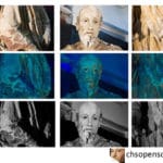 TP details statue diagnostics