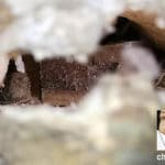 A partially detached foot reveals the inside structure