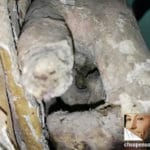 The inside of the hand shows a possible slot for a lost object the Saint was holding.