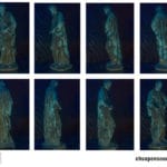 TP details statue diagnostics