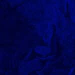 multispectral Imaging painting