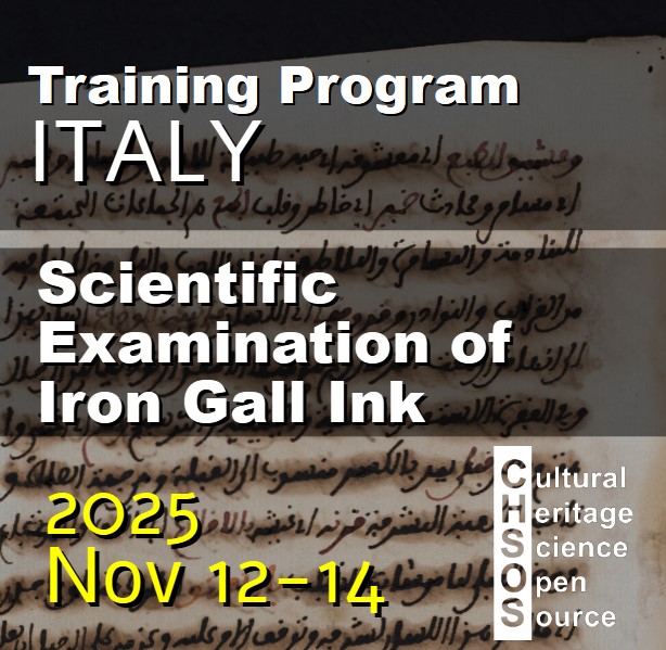 Scientific Examination of Iron Gall Ink 2025