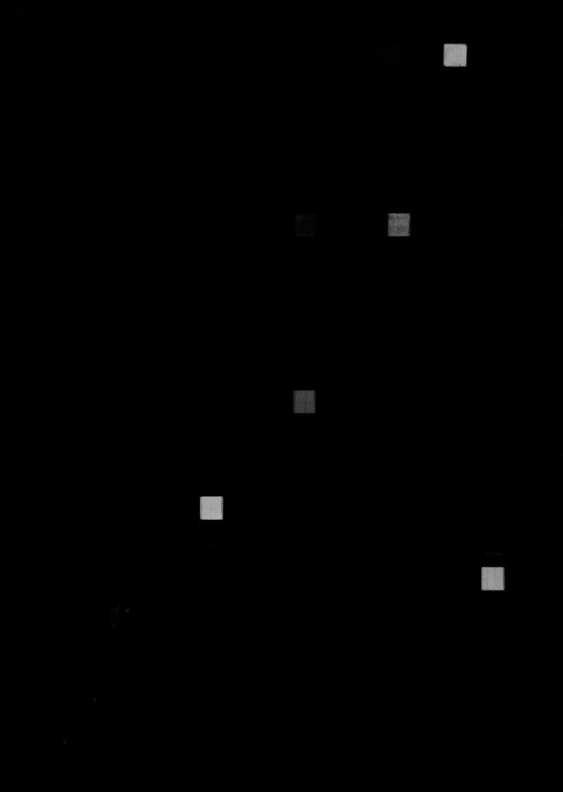 pigments checker standard infrared fluorescence
