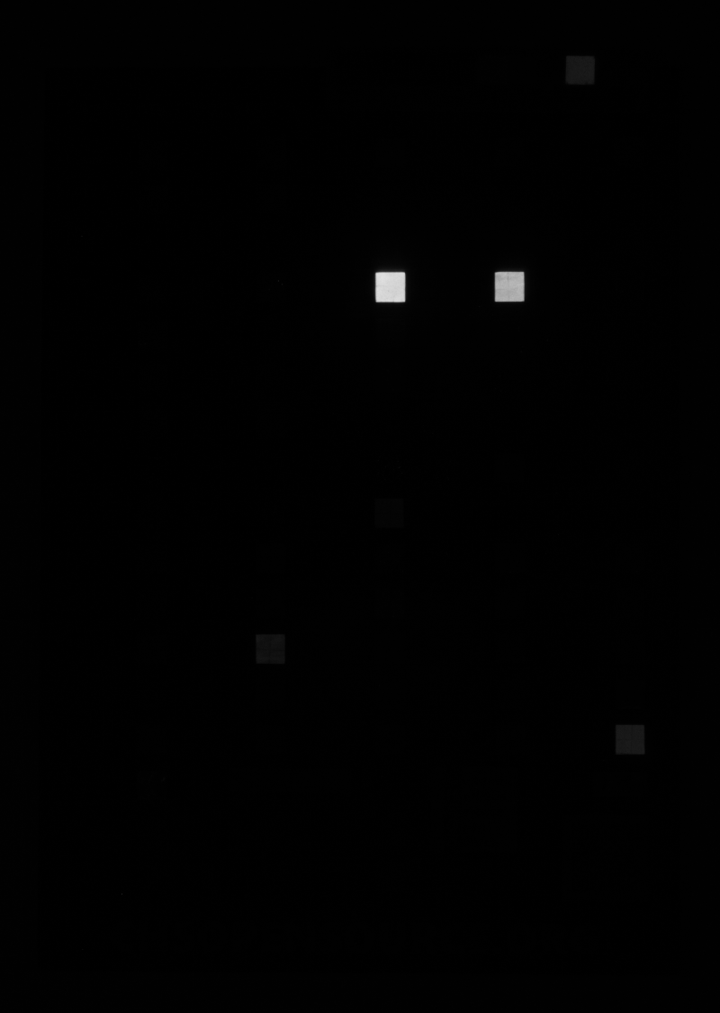 pigments checker standard infrared fluorescence