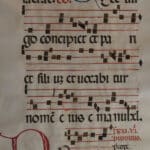 VIS parchment sheet Technical Photography
