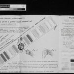 19th-century Color Chart "Ratti Ernesto & C" - Turin -Italy IR