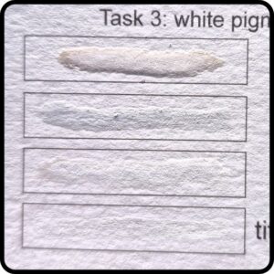 TP MSI white pigments