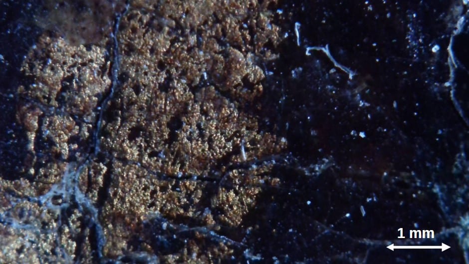 USB microscope image of the star at low magnification