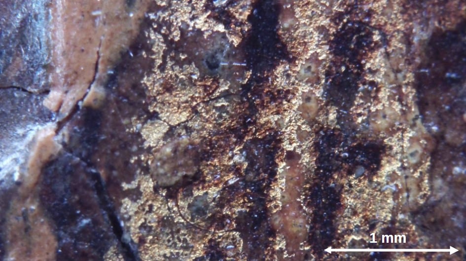 USB microscope image of the star at high magnification